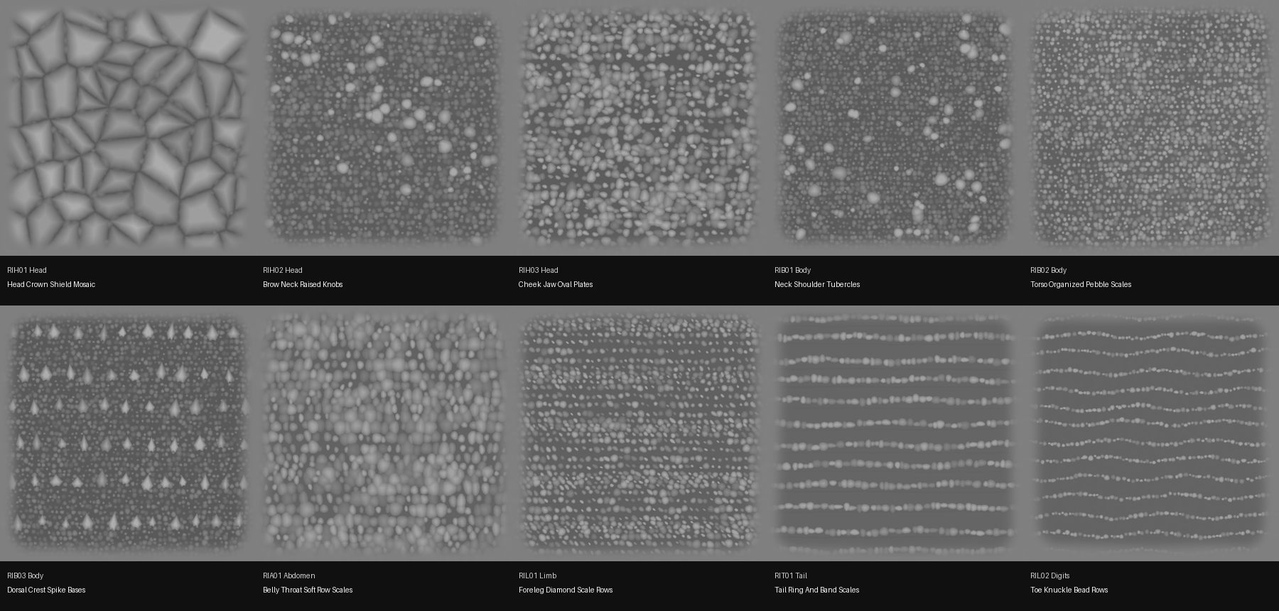 Red iguana anatomy alpha contact sheet